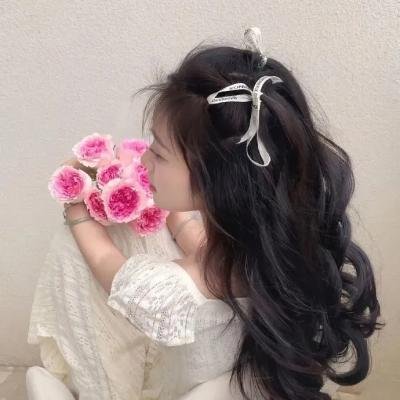 衣柜里的猫